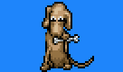 Canus Facing Camera
