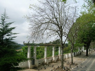 DSCN1067