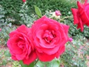 DSCN1807