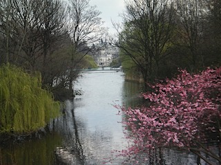 Image061