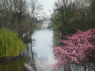 Image061