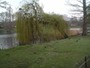 Image062