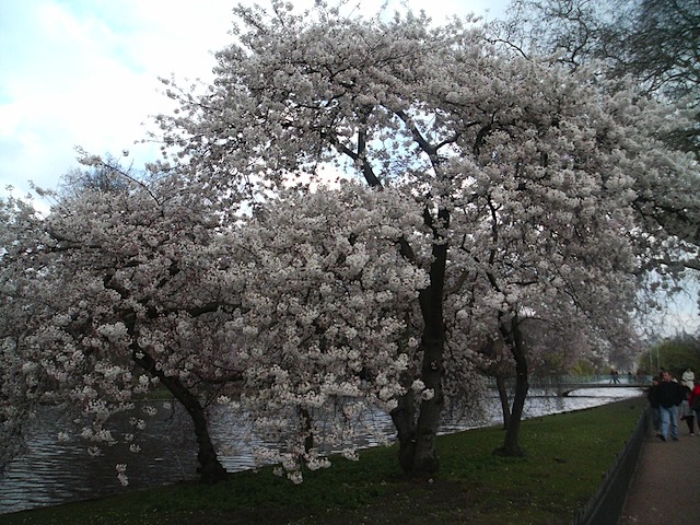 Image063