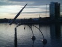 The False Creek chapter of Cormorants