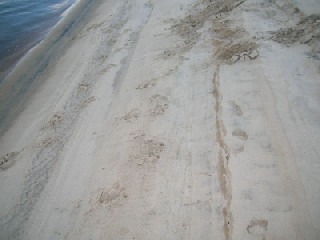 DSCN0087_textmedium