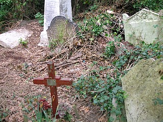 DSCN1561_textmedium